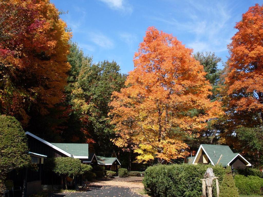 Amber Lantern Two-Bedroom Cottage Lake George Quarto foto